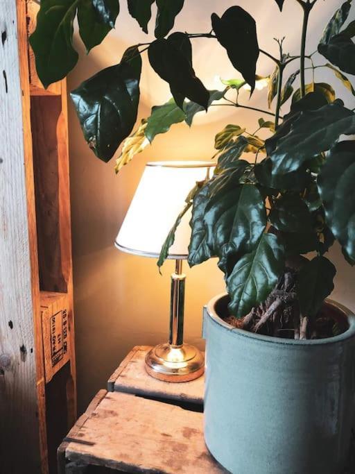 Superbe Appartement T3 Dans L'Hyper Centre 블루아 외부 사진